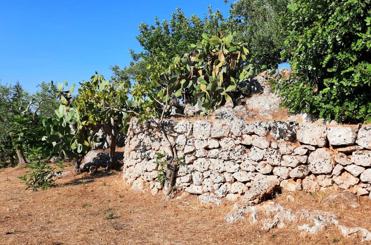 I Due Carrubi Vila Ostuni Exterior foto